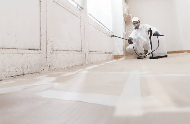 24/7 Emergency Attic Mold Remediation experts in Luke, MD