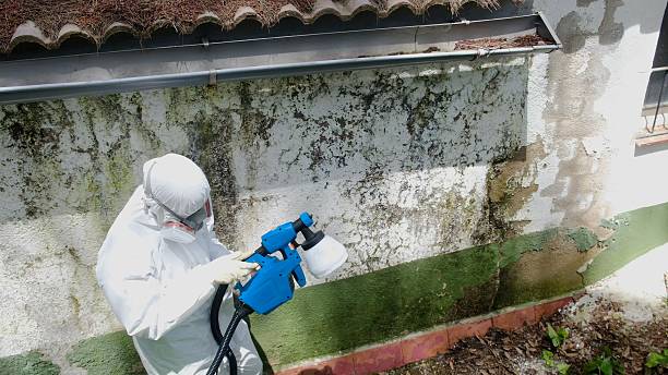 Top rated local Attic Mold Remediation specialists in Luke, MD